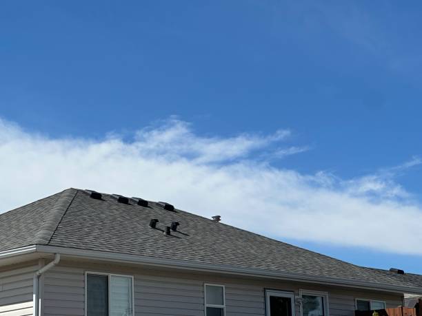 Trusted Coral Terrace, FL Roofing Service Experts